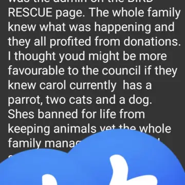 Image from Jayne's Baby Bank (Main Historical Profile), 23 Jan 2026