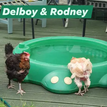 Image from Jayne's Baby Bank (Main Historical Profile), 26 Jan 2026: More Rescue photos The New Caerphilly Bird and Small Animal Rescue. We are not fundraising at present for the rescue but we will be with sep