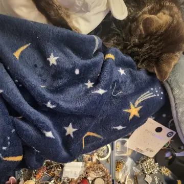 Photo from Jaynesbabybank Registered - cic, 28 Sep 2026: Someone's sleeping on the job!