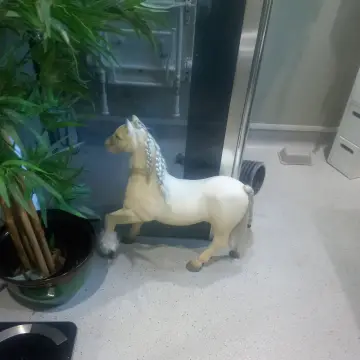 Image from Jaynesbabybank Registered - cic: I've had a nice afternoon washing my pony in my new wet room . I could do with a wet room in the shop! ;) crack on haters and report me for 