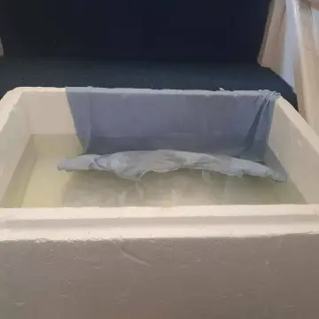 Photo from Jaynesbabybank Registered - cic, 16 Sep 2026