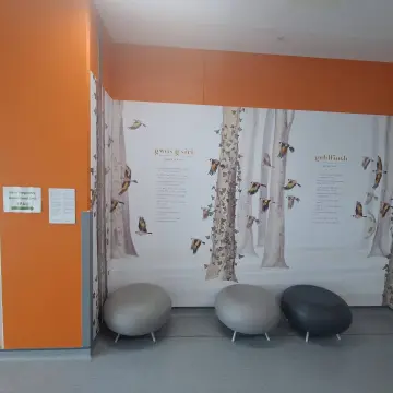 Image from Jaynesbabybank Registered - cic