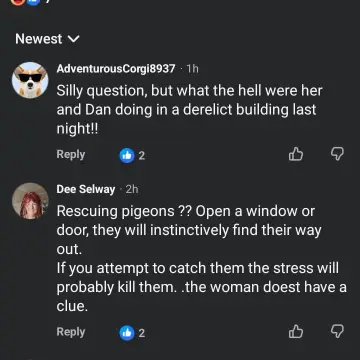 Image from Jaynesbabybank Registered - cic: How stupid are this lot! Which part of they were trapped and couldn't find their way out don't you understand! Which part of we went into th