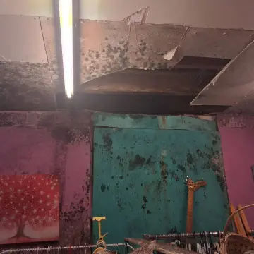 Image from Jaynesbabybank Registered - cic