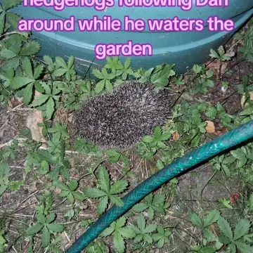 Photo from communityshopone · TikTok, 16 Jul 2026